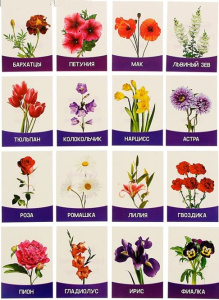 Обучающие карточки Цветы садовые 16 шт