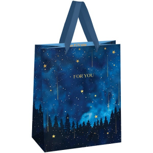 Пакет подарочный 18х23х10см MESHU Night magic