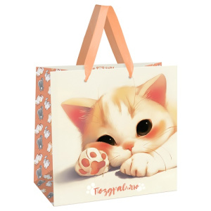 Пакет подарочный 20х20х10см MESHU Lovely kitten