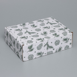 Коробка сборная 27х21х9см Шишки белый