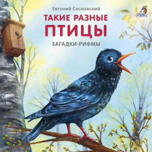 Книжка- картонка Загадки - рифмы Такие разные птицы Робинс