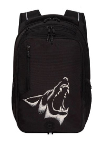 Рюкзак (RU-538-4/1 чёрный - белый)