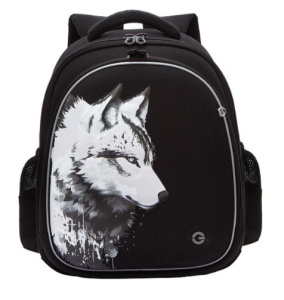 Рюкзак школьный (RAz-587-2/1 черный)