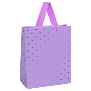 Пакет подарочный 18х23х10см MESHU Hearts pattern