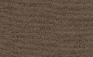 Бумага для пастели 50х70см 160г/м Палаццо Cinnamon (корица)