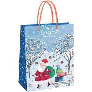 Пакет подарочный 26х32х12см MESHU Christmas
