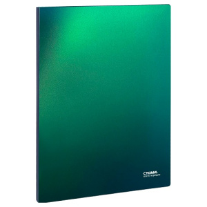 Папка 40 файлов А4 СТАММ Хамелеон 21мм пластик зеленый хамелеон