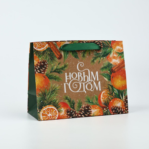 Пакет подарочный крафтовый 18×23×10см «С Новым годом» 