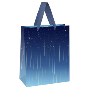 Пакет подарочный 18х23х10см MESHU Star rain