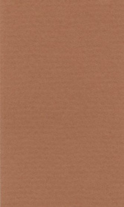 Бумага для пастели 160 г/м²  50х65 см охра