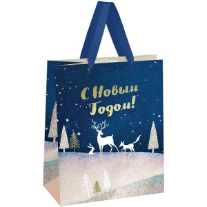 Пакет подарочный 18х23х10см MESHU Christmas magic