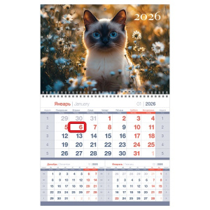 Календарь 2026 квартальный 1бл 295х475мм BG Кот в цветах