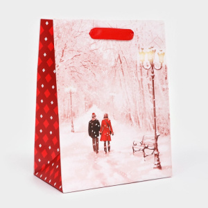 Подарочный пакет 18×23×10см Парочка