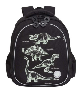 Рюкзак школьный (RAz-587-5/1 черный)