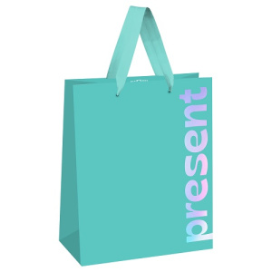 Пакет подарочный 11х14х6,5см MESHU Bright present