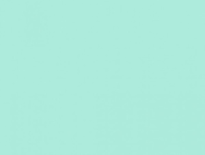 Folia Бумага цветная 130 г/м2 50х70 см мята