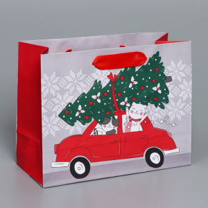 Пакет подарочный крафтовый Спешу к тебе 23×18×10см