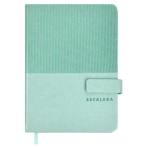 Ежедневник недатированный А6+ 120л ESCALADA Гоутскин  мятный