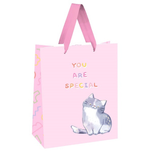 Пакет подарочный 18х23х10см You are special MESHU