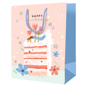 Пакет подарочный 18x23x10см ArtSpace Happy birthda