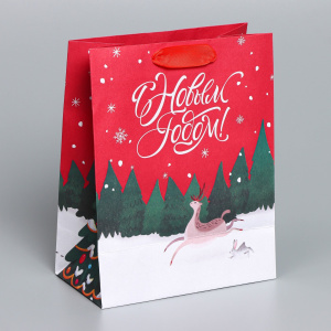 Пакет подарочный крафтовый 18×23×10см New 