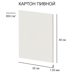 Картон пивной 30х40см 850 г/м2 1,55мм белый KLP-11