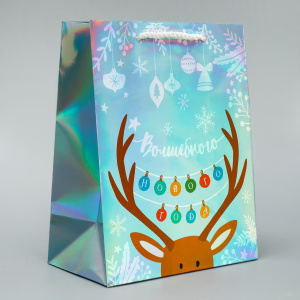 Пакет подарочный голографический 18×23×10см Волшебного 