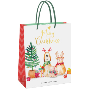 Пакет подарочный 26*32*12см MESHU NY greetings