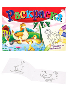 Раскраска А5 8л Домашние любимцы