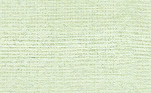 Бумага для пастель 50х70см 160г/м Палаццо Immature pistachio (незрелая фисташка)