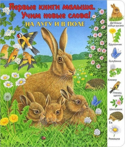 Книжка Первые книги малыша На лугу и в поле