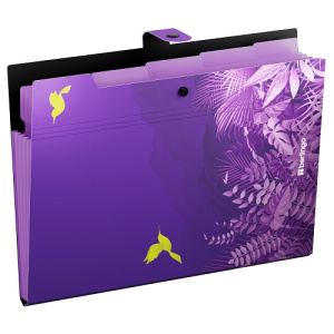 Папка на кнопке А4 5 отделений Berlingo Flower Art 600мкм