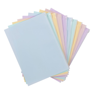 Папка на ZIP-молнии A4 180мкм Expert Complete Pastel ассорти