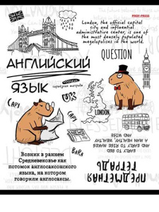 Тетрадь тематическая 48л клетка Английский язык Капибара Prof-Press 