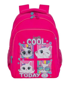 Рюкзак школьный (RG-561-1/1 фуксия)