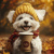 edc7d1d8_24e5_11f0_bab0_d05099d5d12d_b2af6d15_415e_11f0_bab2_d05099d5d12d