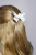 e9dc66ee_3556_11f0_bab1_d05099d5d12d_369f20c9_fd03_11f0_babc_d05099d5d12d
