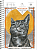 Скетчбук А5 32л Street ArtBook c фоновыми страницами 